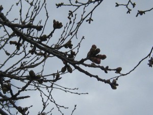 IMG_3207