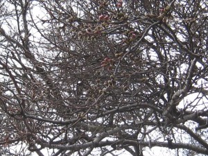 IMG_3208