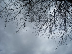 IMG_3211