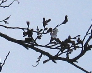 IMG_3214-r