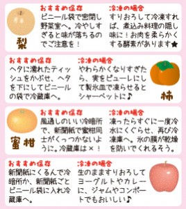 果物保存